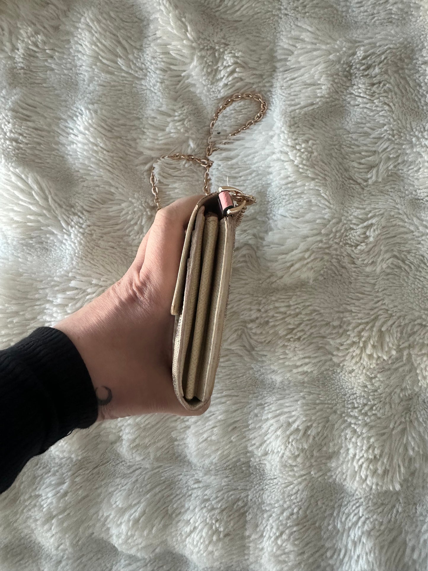 Louis Vuitton Damier Azur WOC shoulder bag