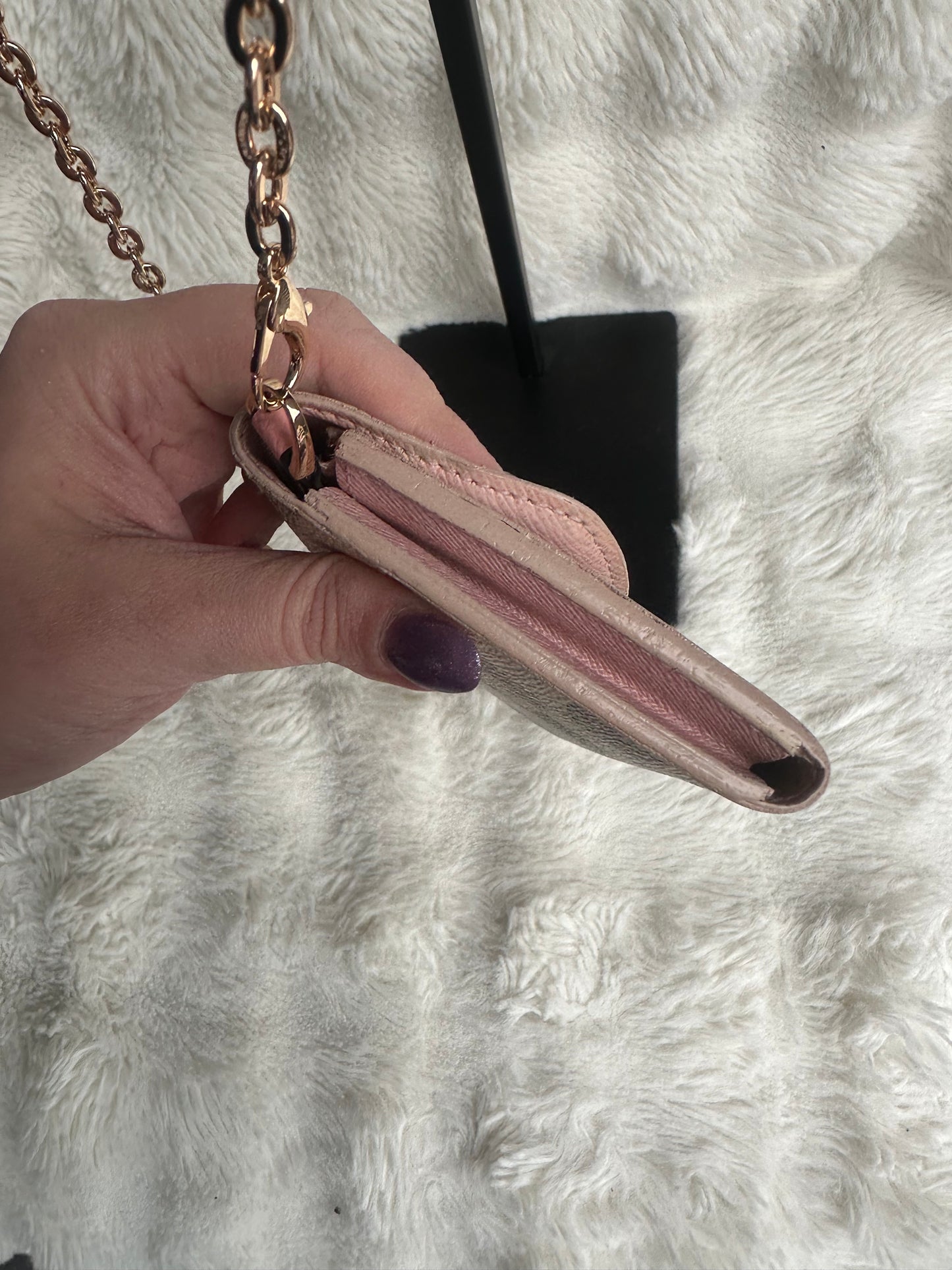 Louis Vuitton Damier Azur WOC bag