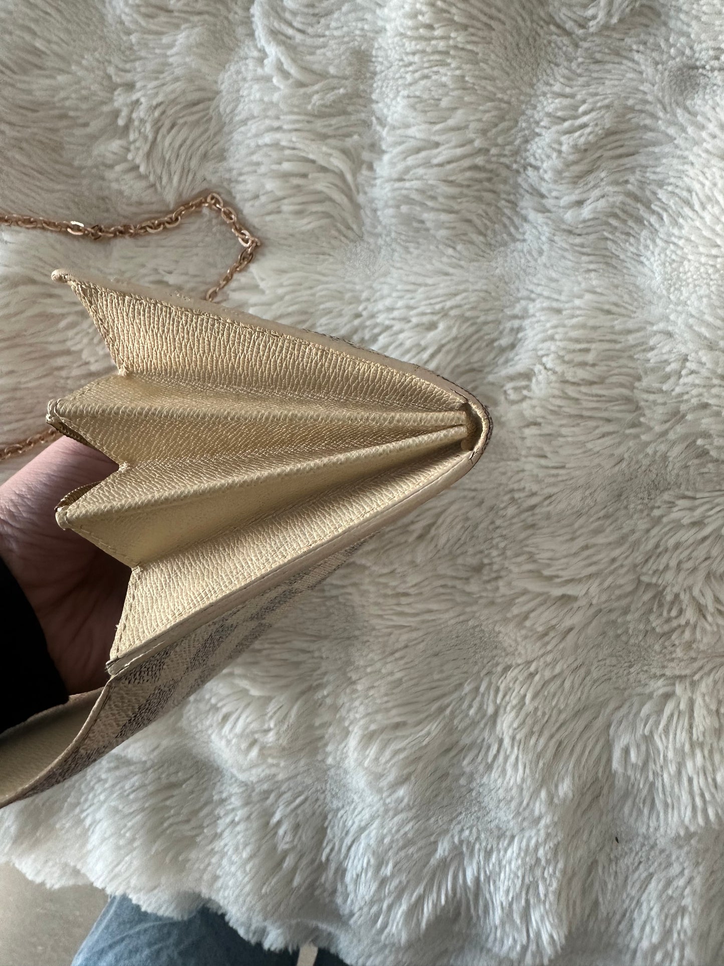 Louis Vuitton Damier Azur WOC shoulder bag
