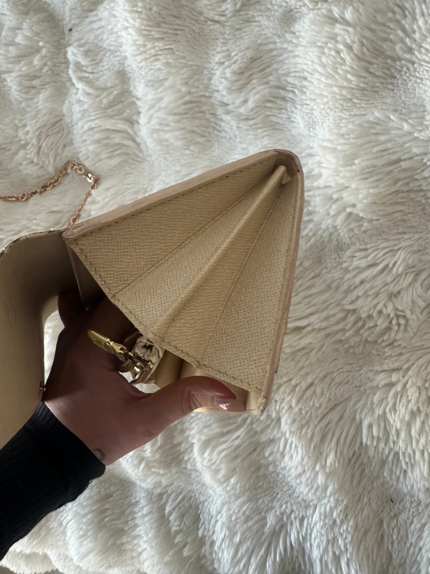 Louis Vuitton Damier Azur WOC shoulder bag