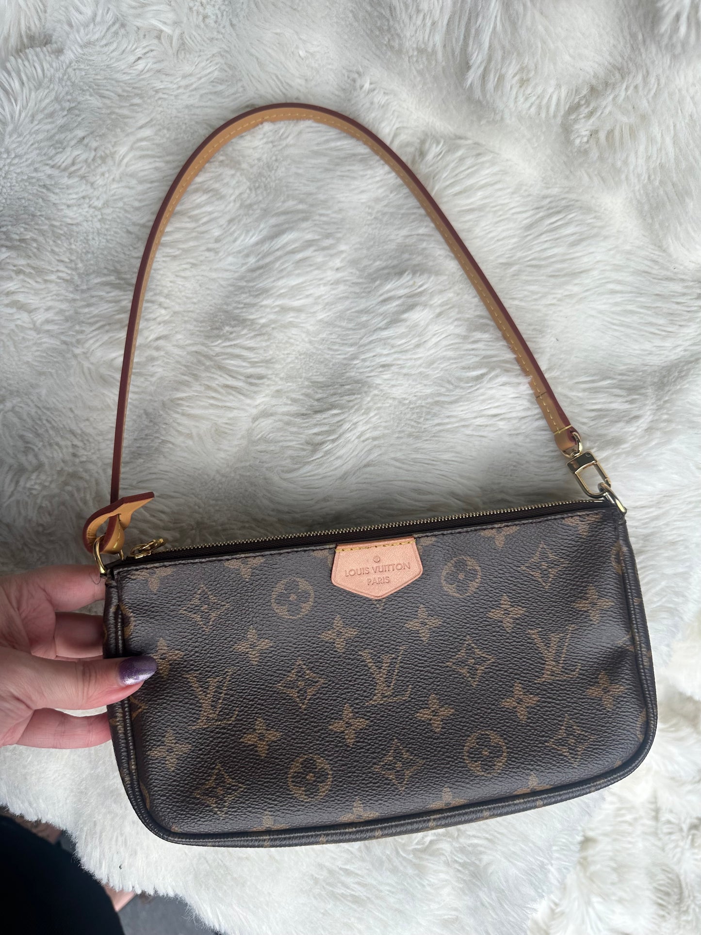 Louis Vuitton multi Pochette accessories bag