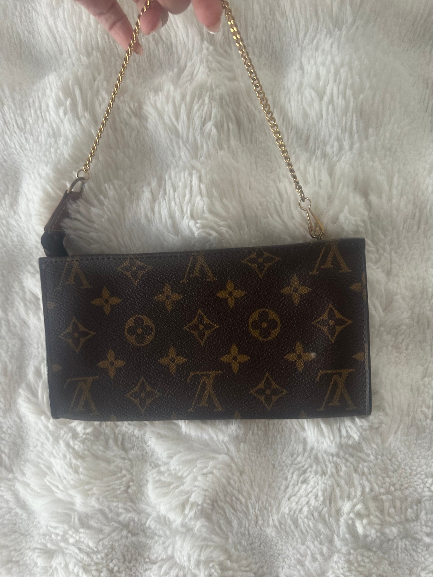Louis Vuitton crossbody pochette Bag.