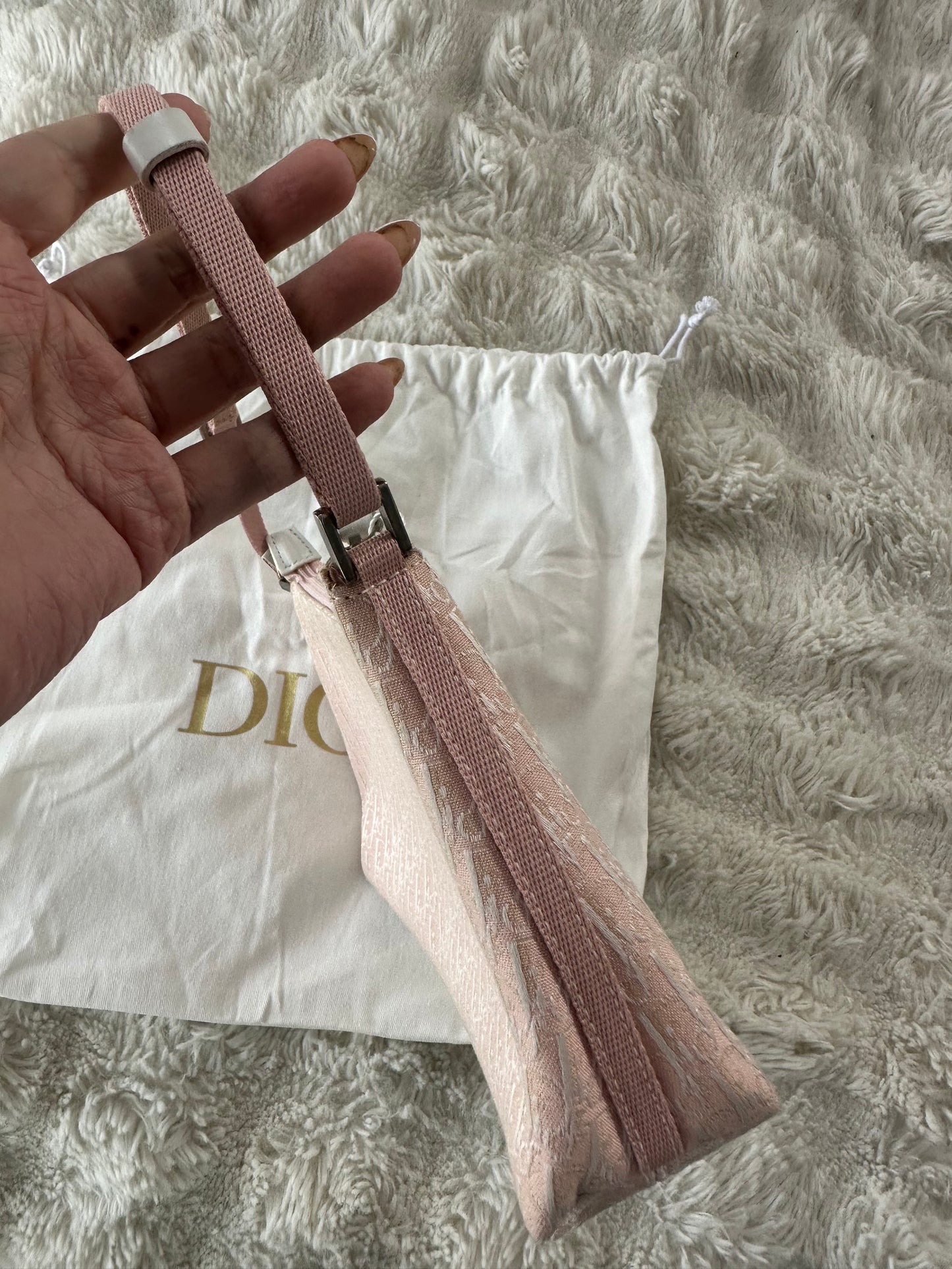 Dior Trotter Baby Pink Canvas bag