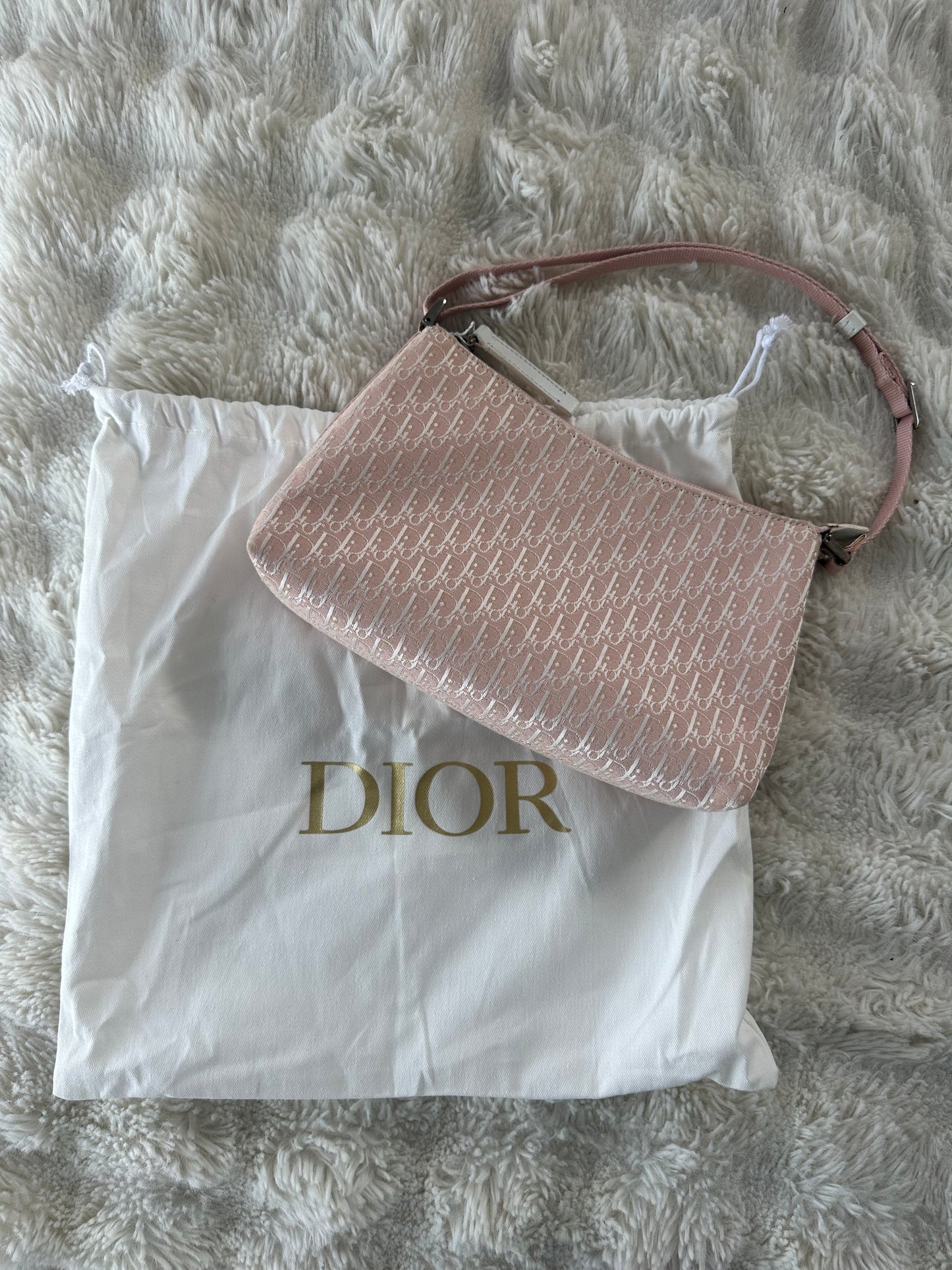Dior Trotter Baby Pink Canvas bag