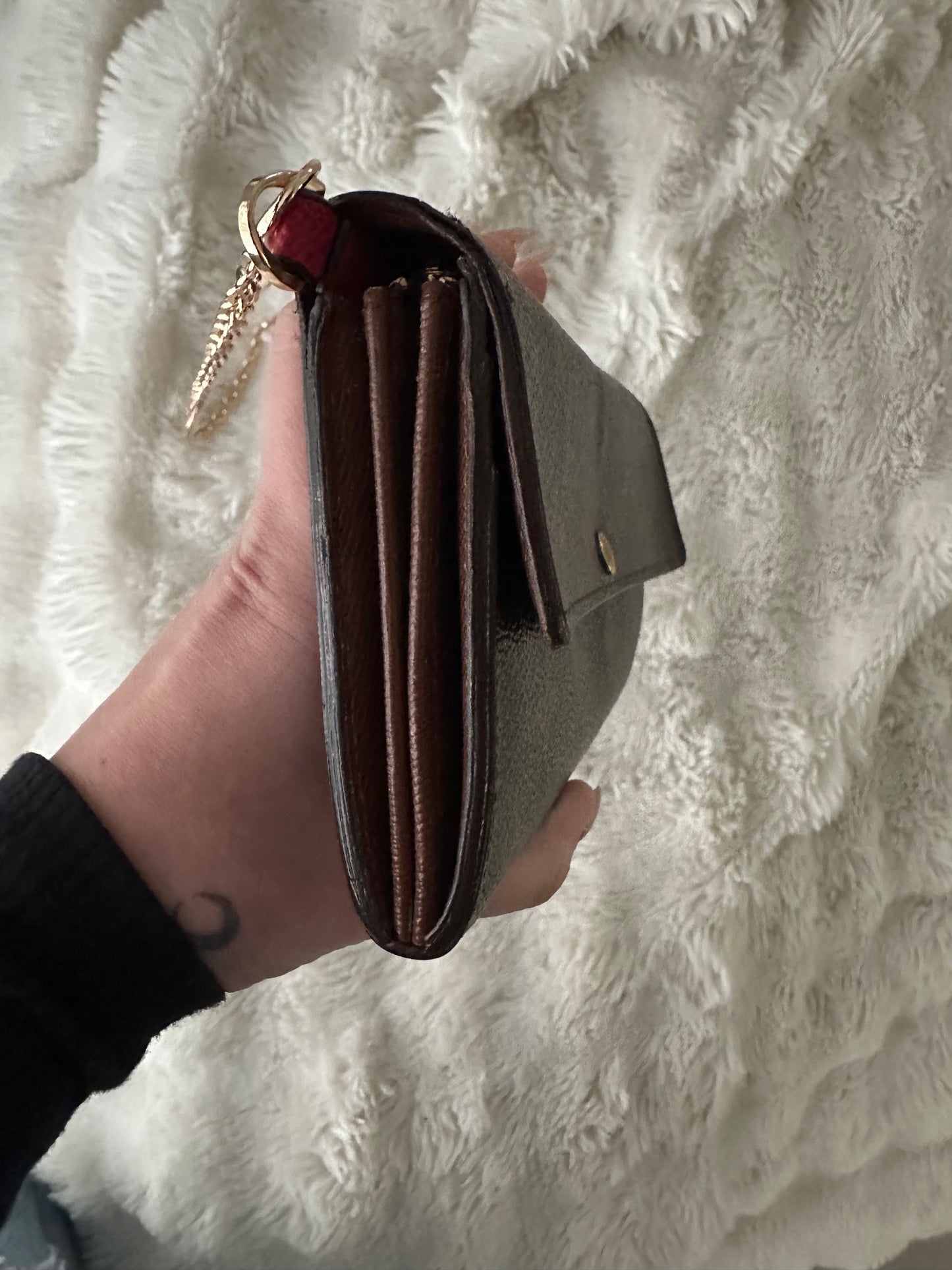 Louis Vuitton wallet on chain bag