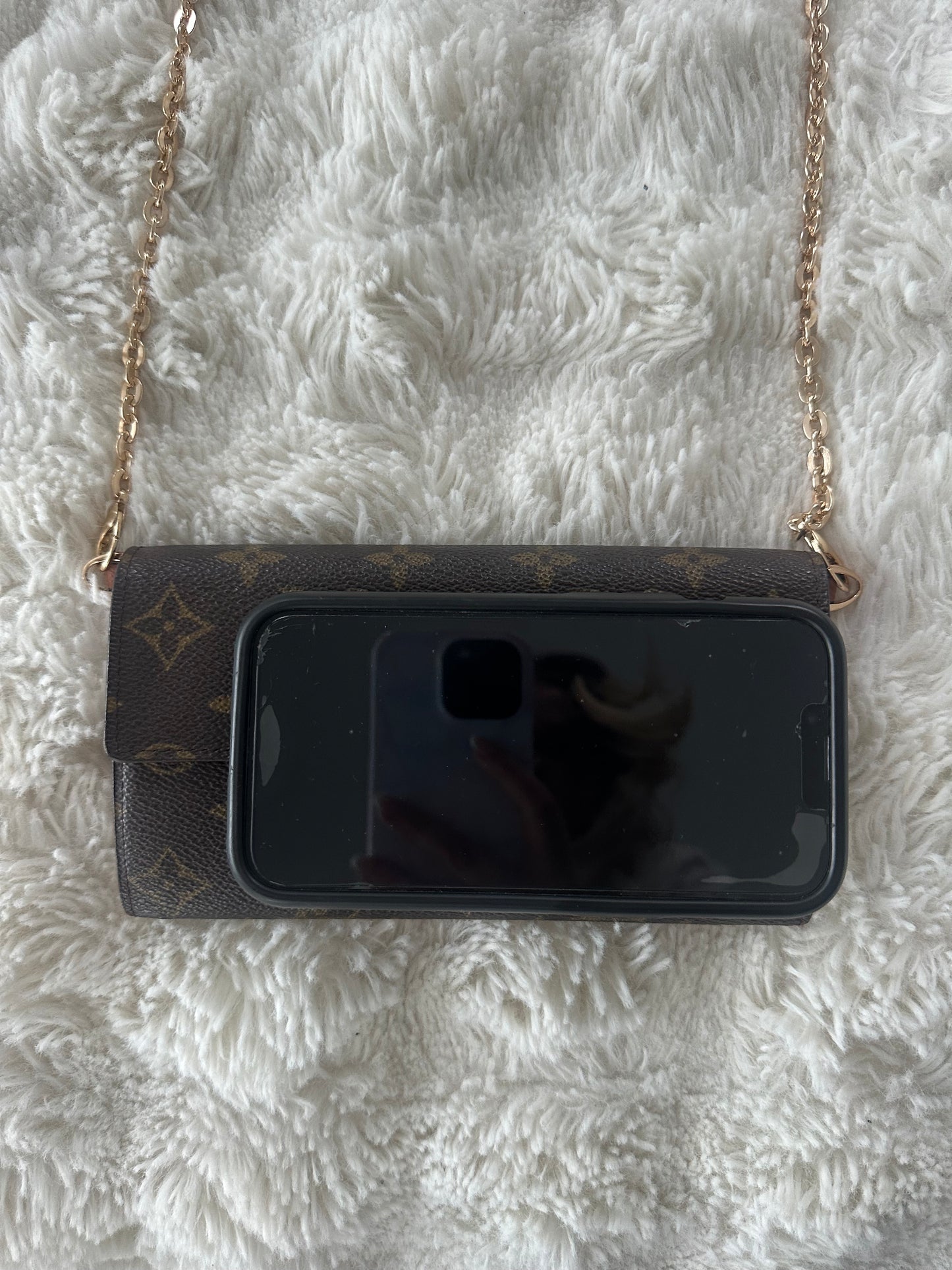 Louis Vuitton Monogram wallet on chain crossbody
