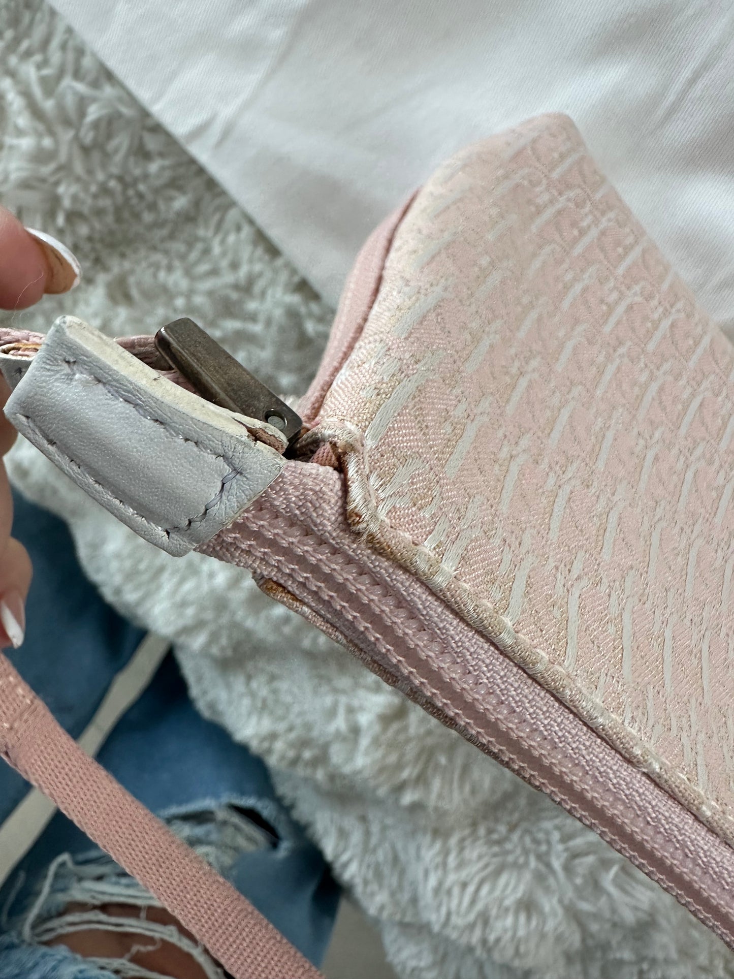 Dior Trotter Baby Pink Canvas bag