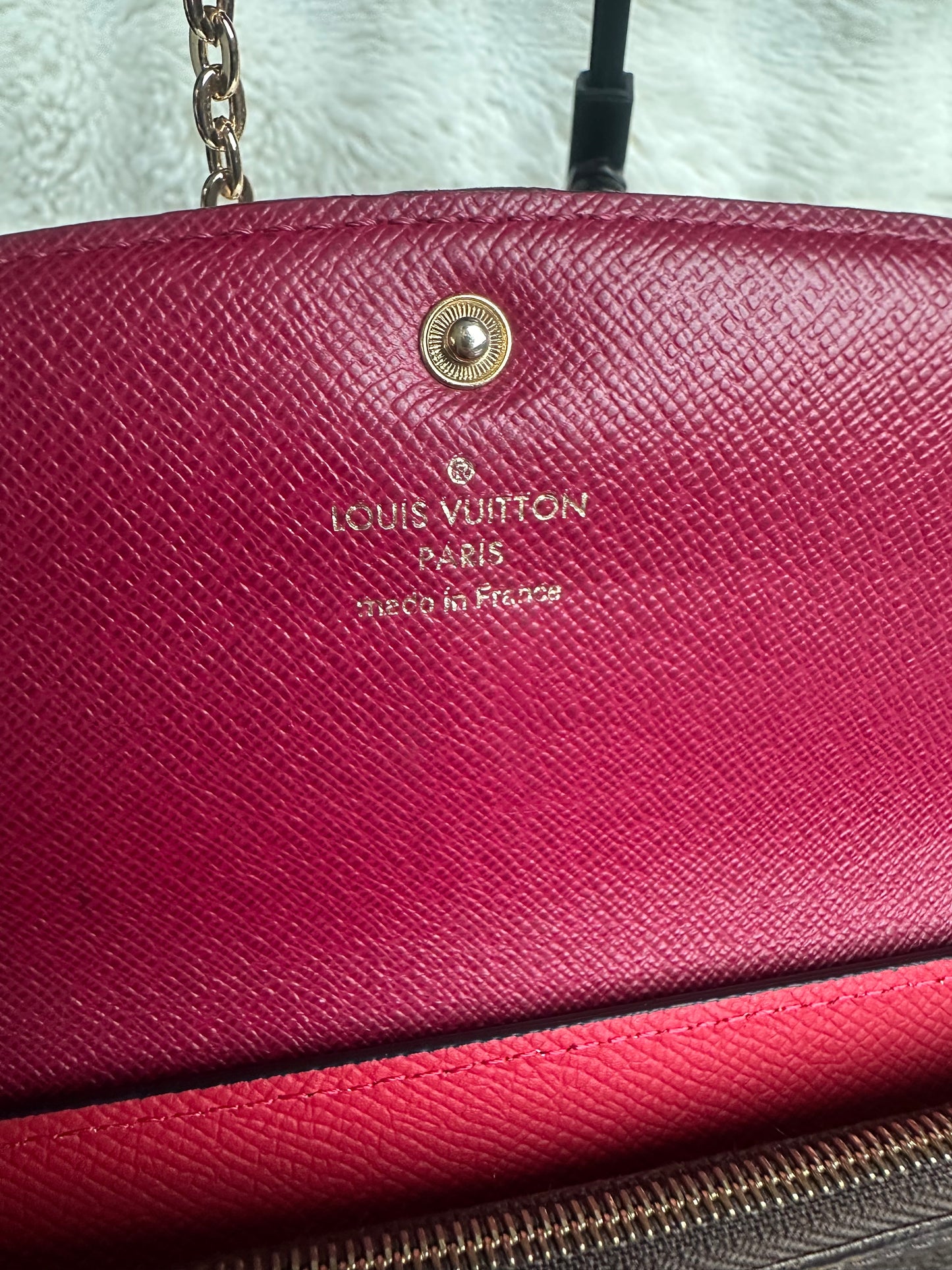 Louis Vuitton wallet on chain shoulder bag