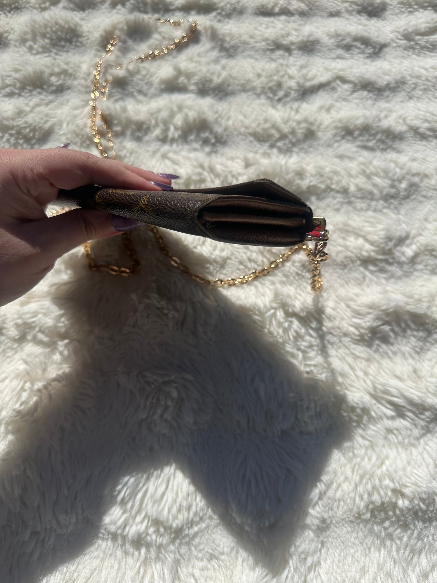 Louis Vuitton wallet on chain pochette bag