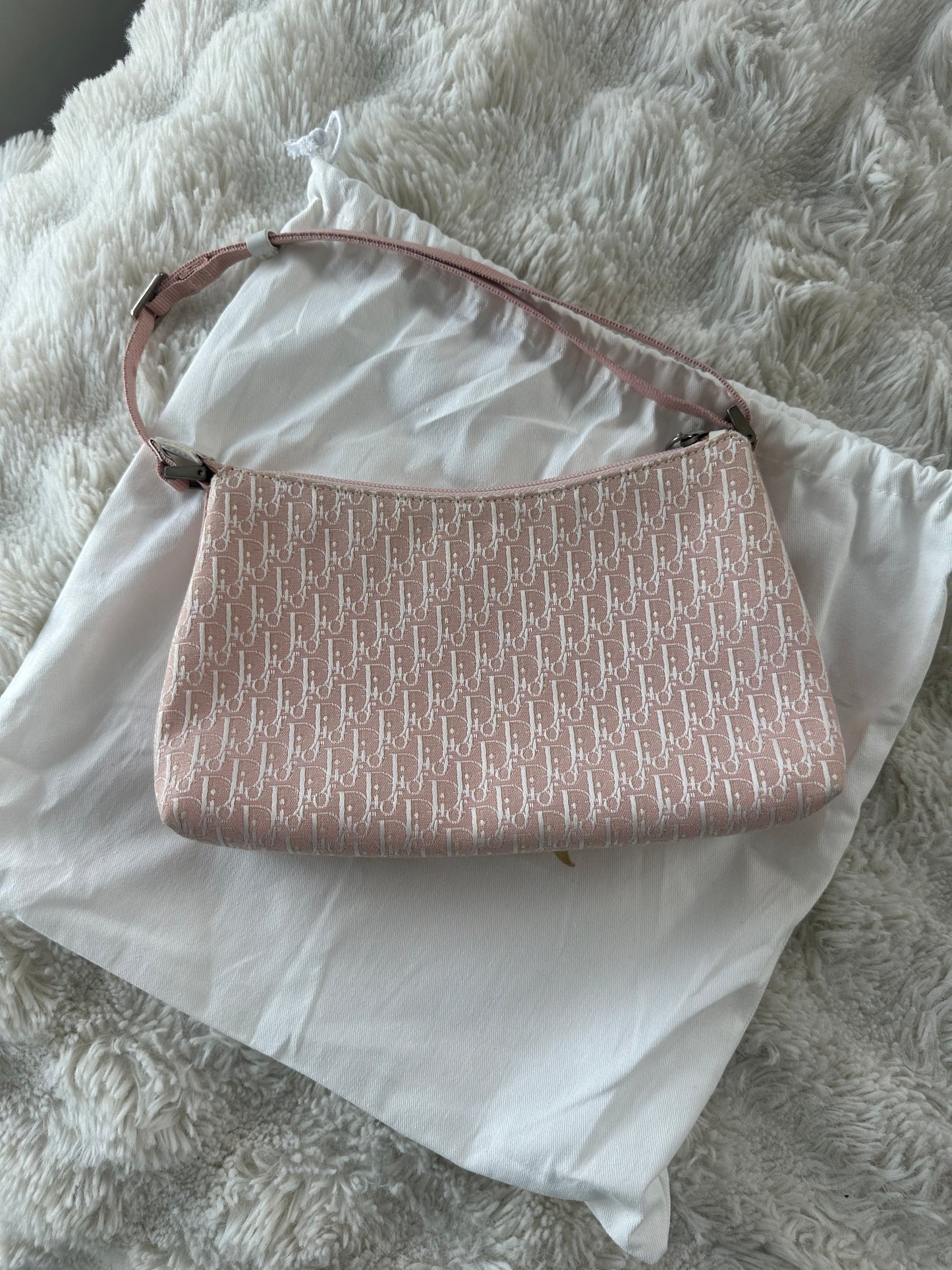 Dior Trotter Baby Pink Canvas bag