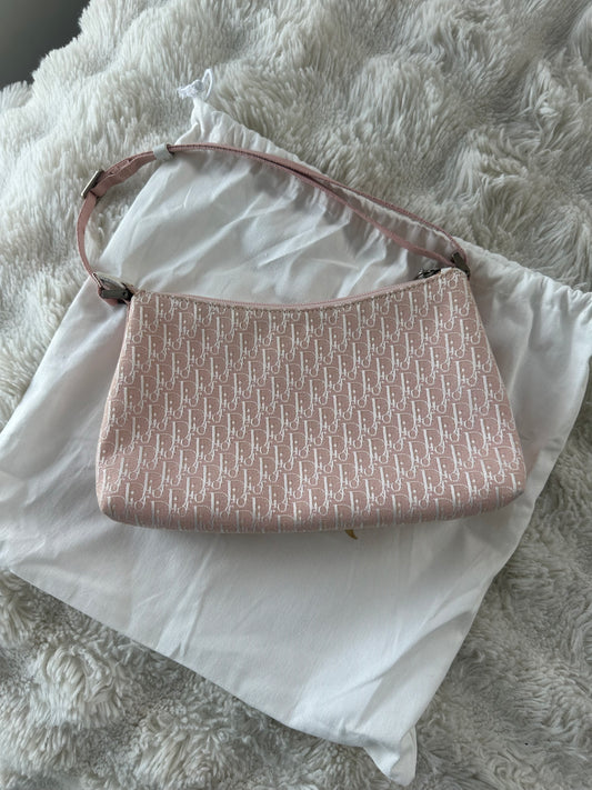 Dior Trotter Baby Pink Canvas bag