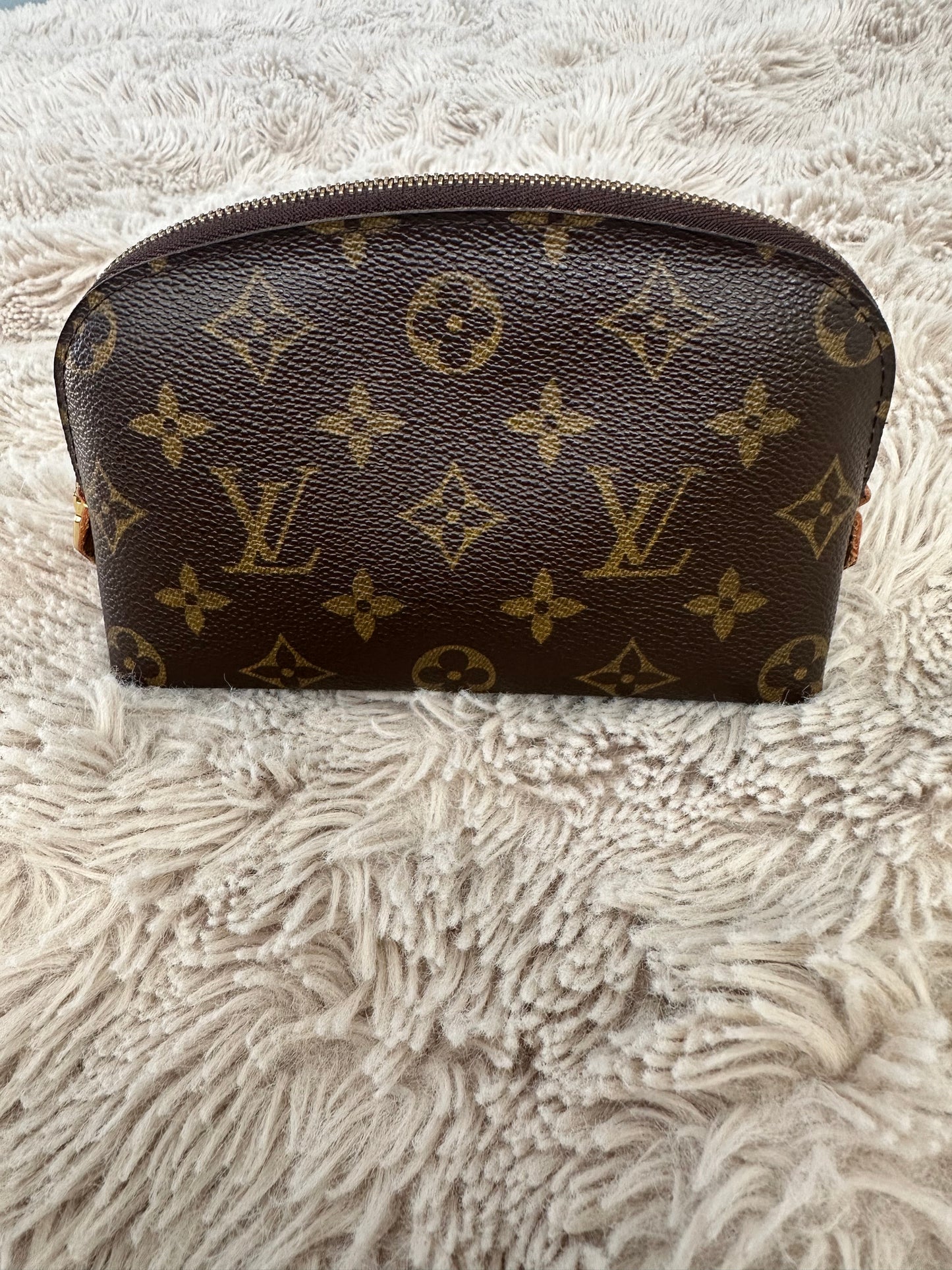 Louis Vuitton monogram PM cosmetic case