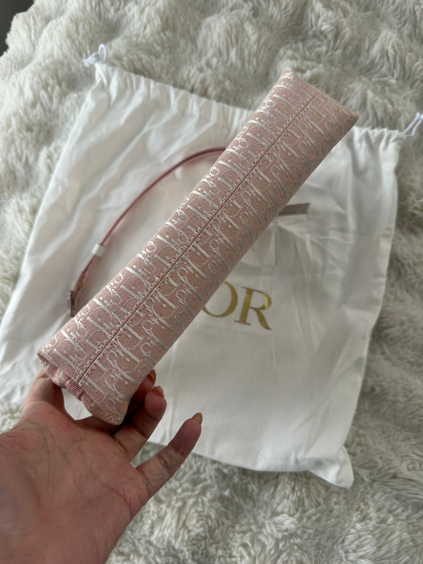 Dior Trotter Baby Pink Canvas bag