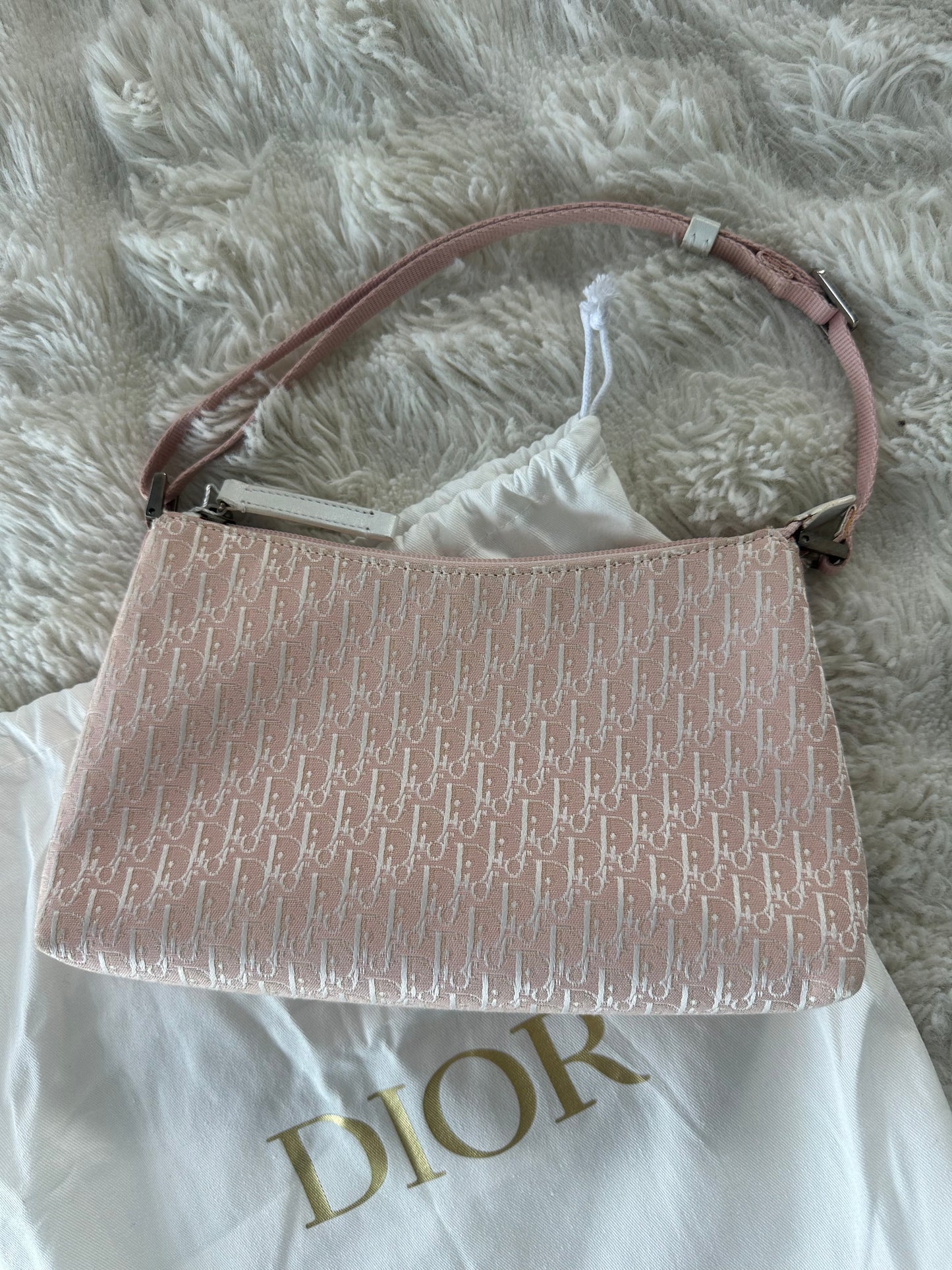 Dior Trotter Baby Pink Canvas bag