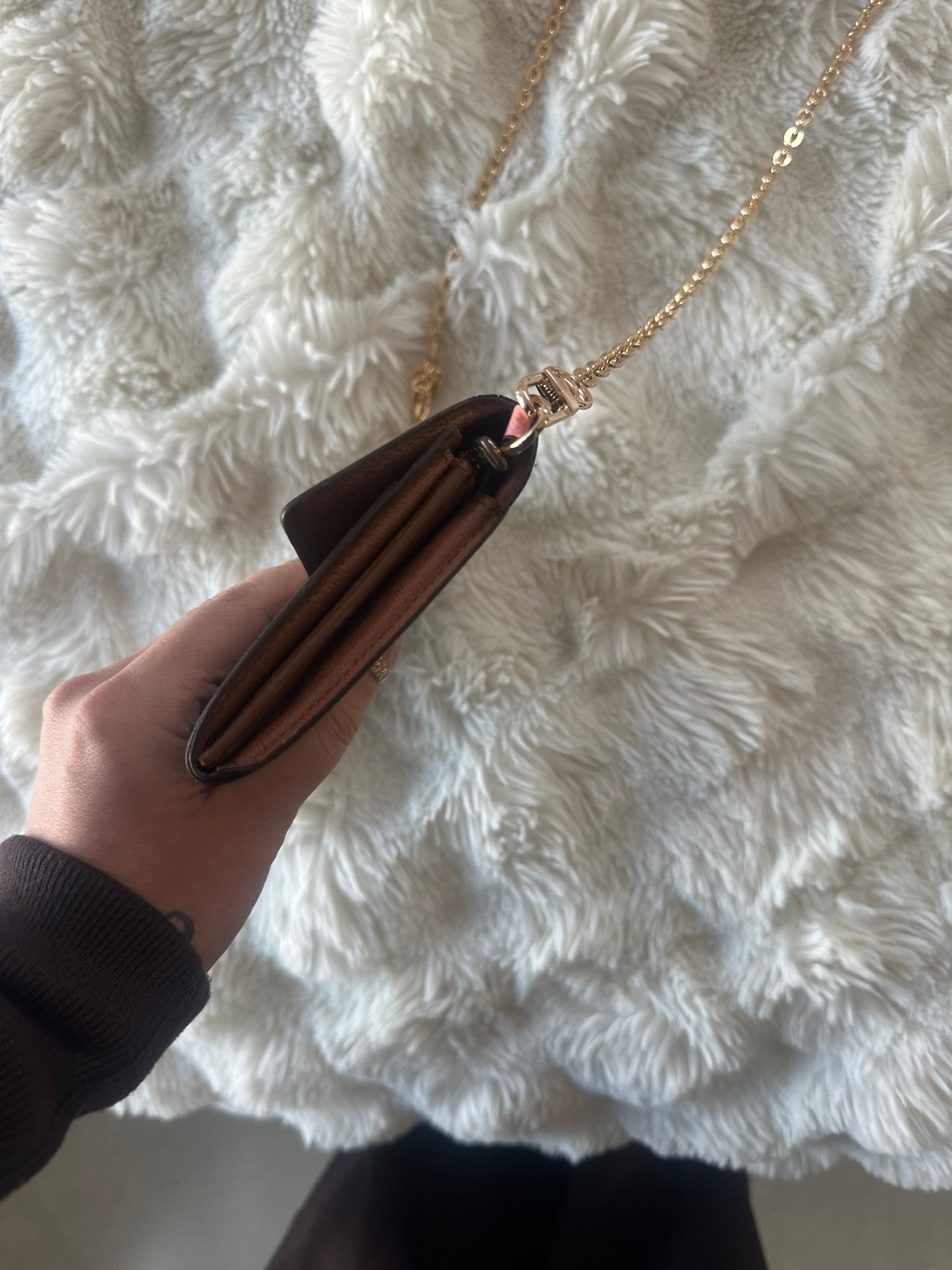 Louis Vuitton monogram wallet on chain shoulder bag.