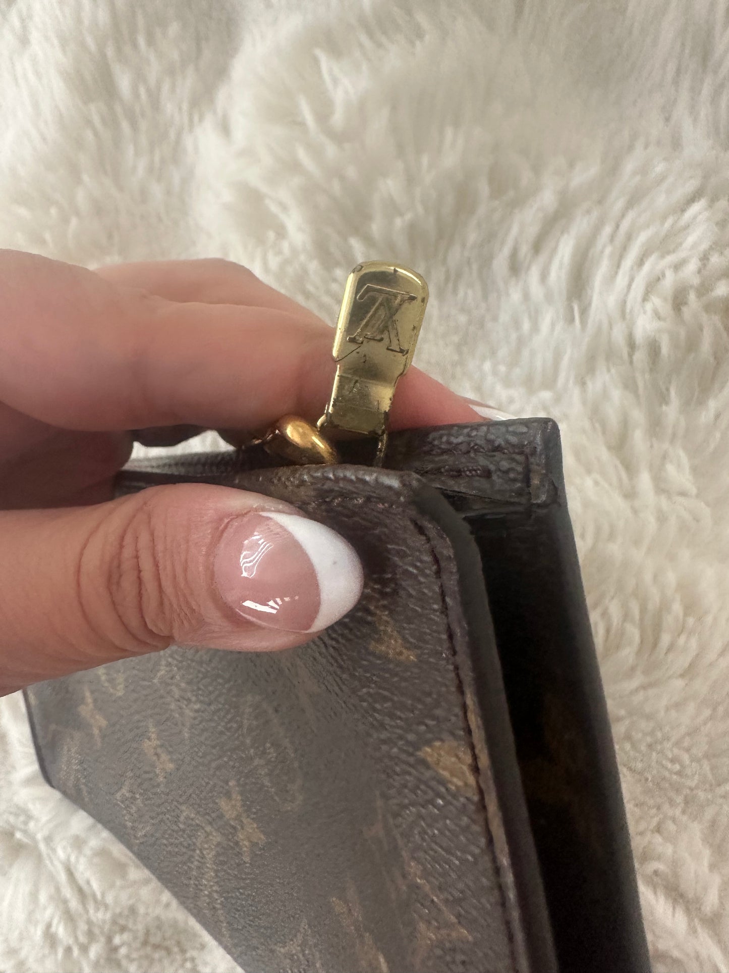 Louis Vuitton crossbody pochette Bag.