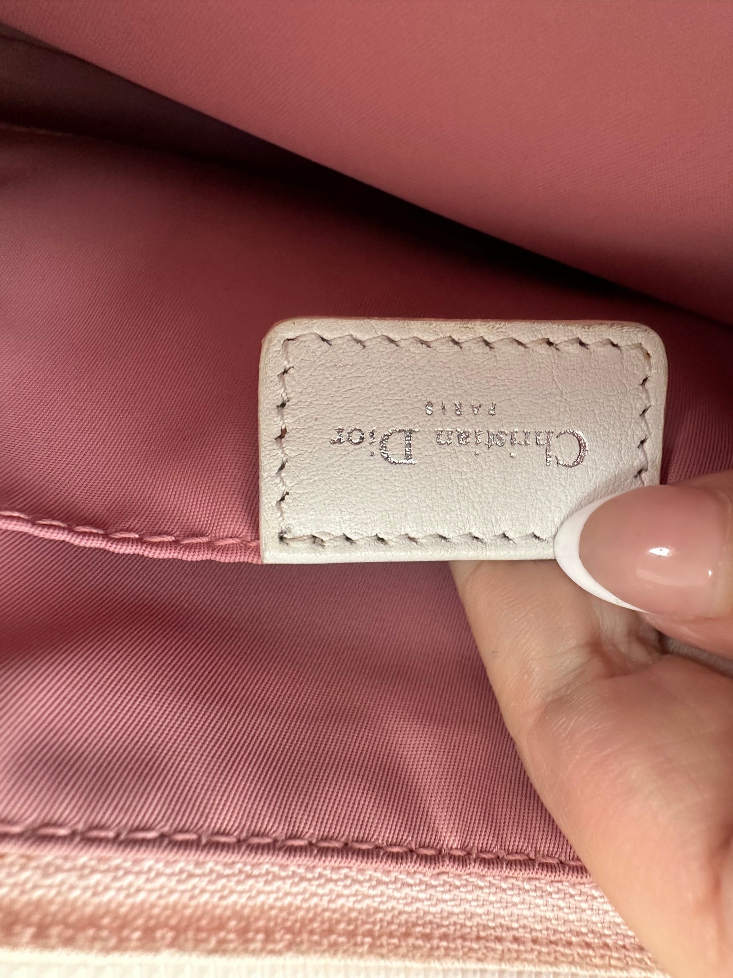 Dior Trotter Baby Pink Canvas bag