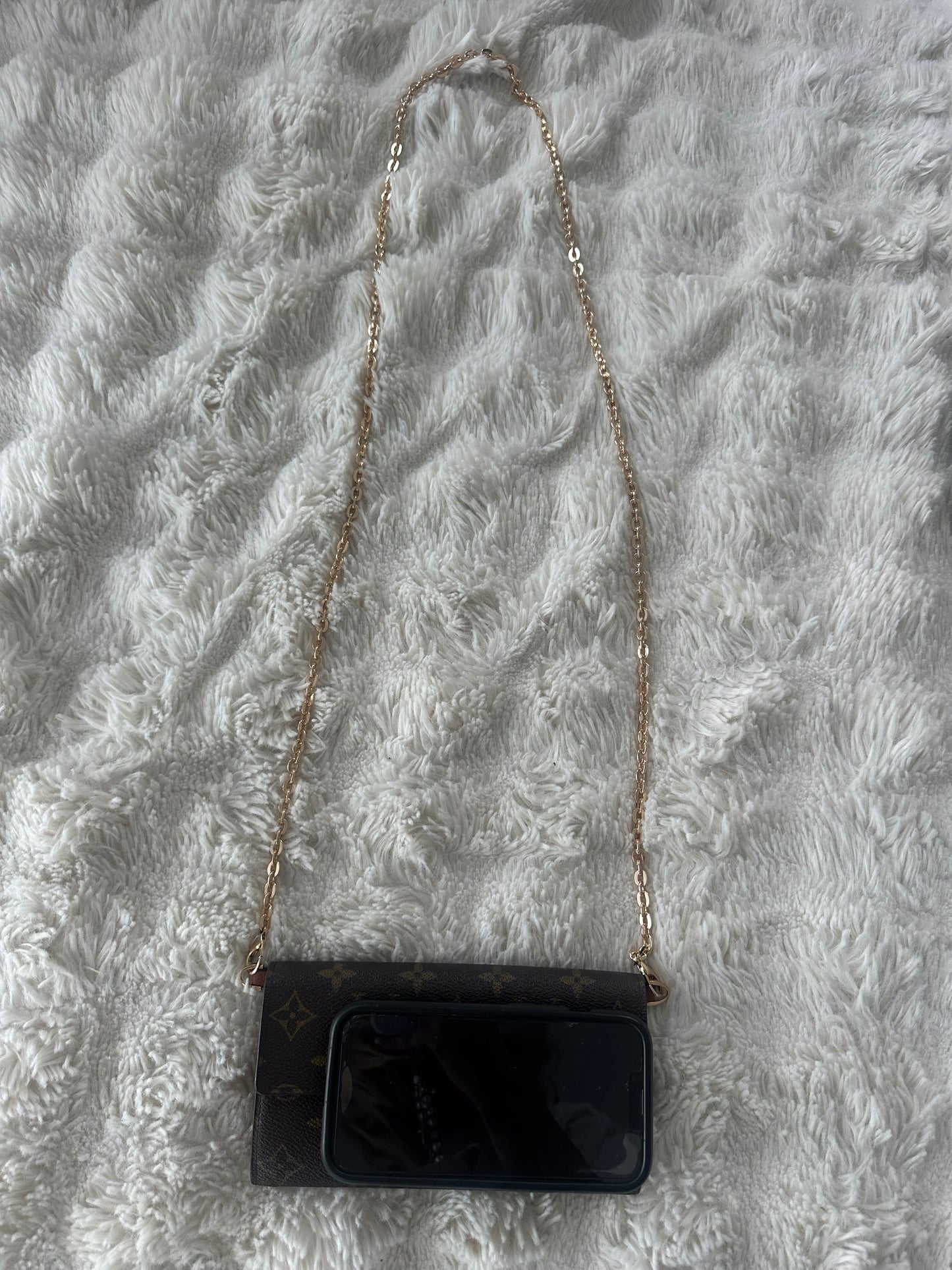 Louis Vuitton Monogram wallet on chain crossbody