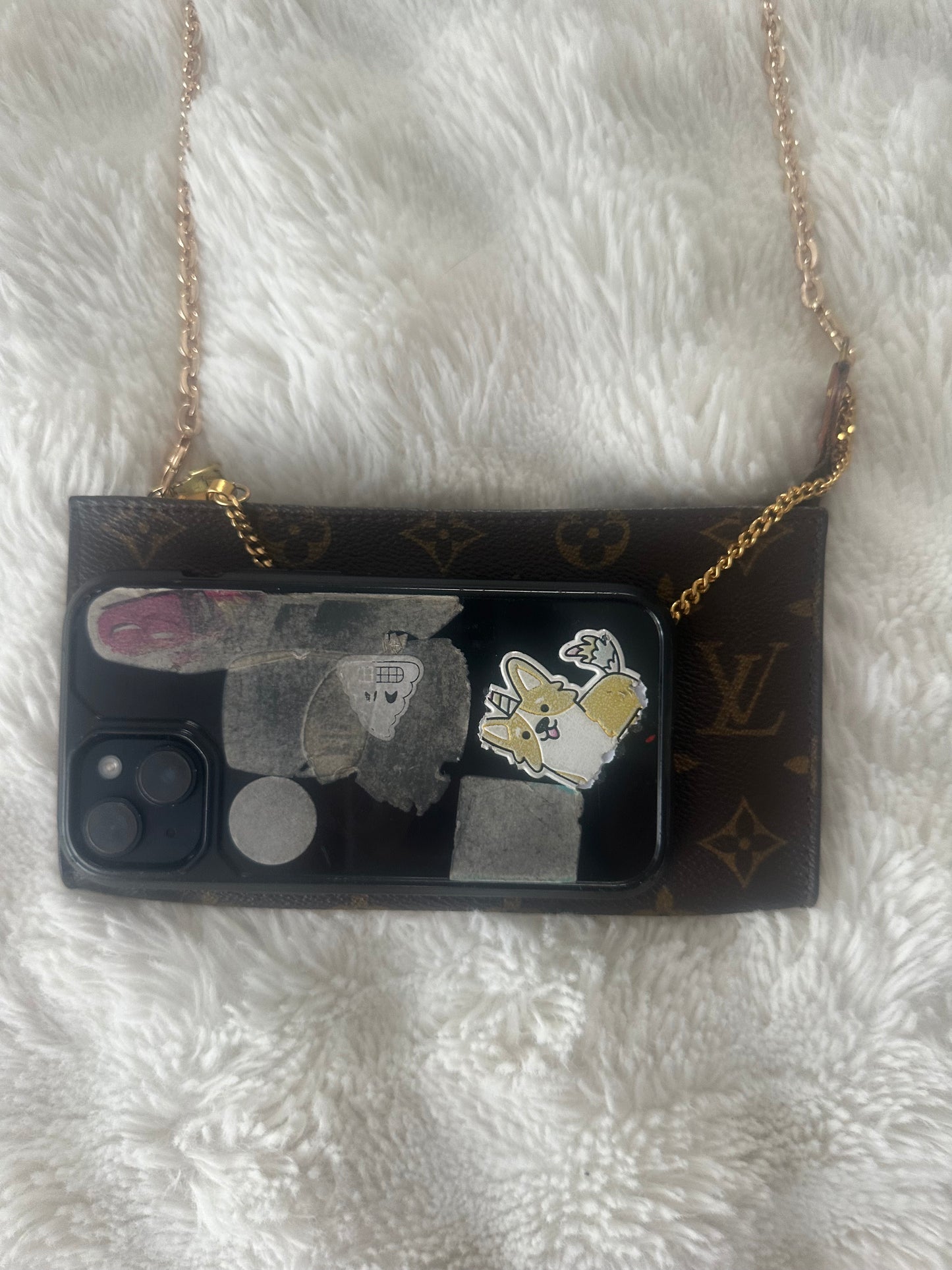 Louis Vuitton crossbody pochette Bag.