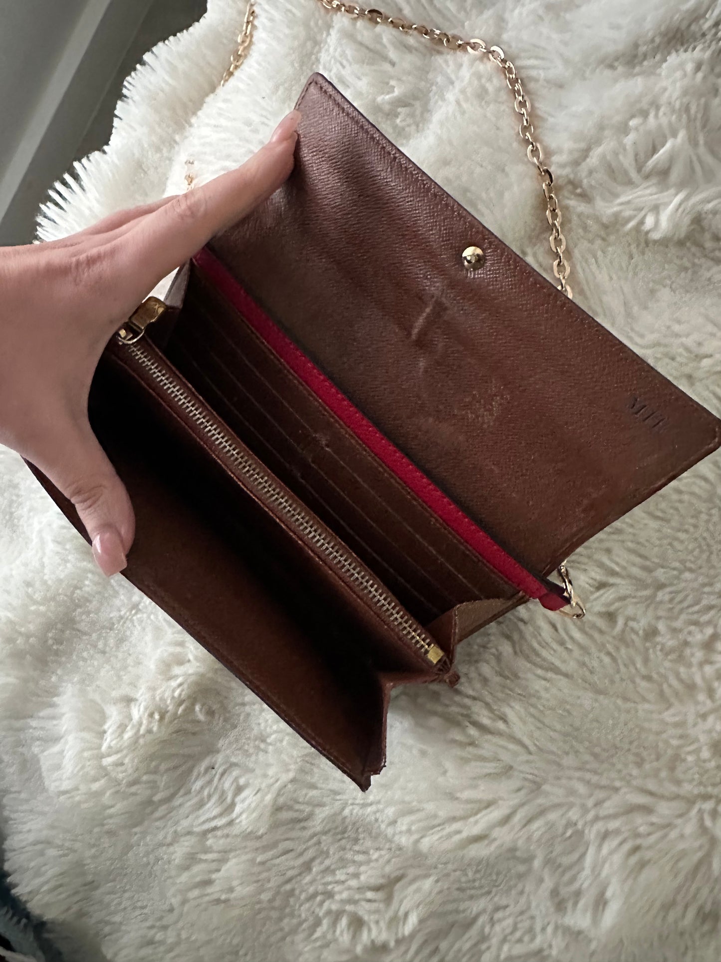 Louis Vuitton wallet on chain bag