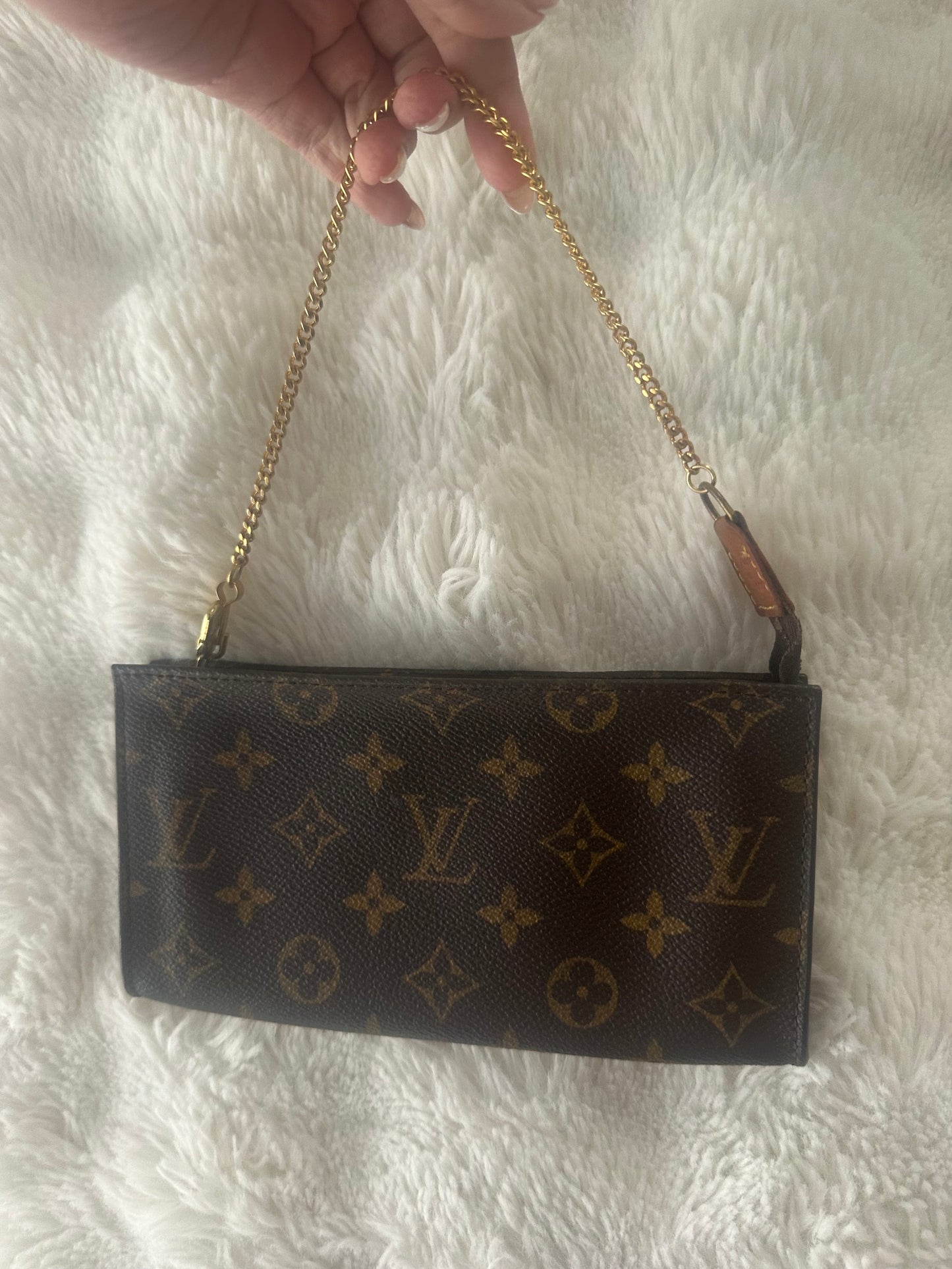 Louis Vuitton crossbody pochette Bag.