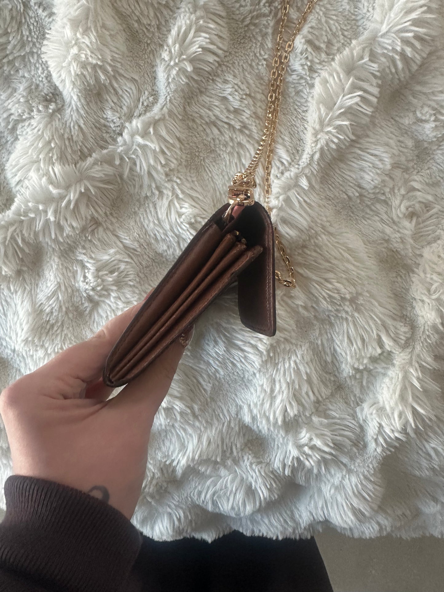 Louis Vuitton monogram wallet on chain shoulder bag.