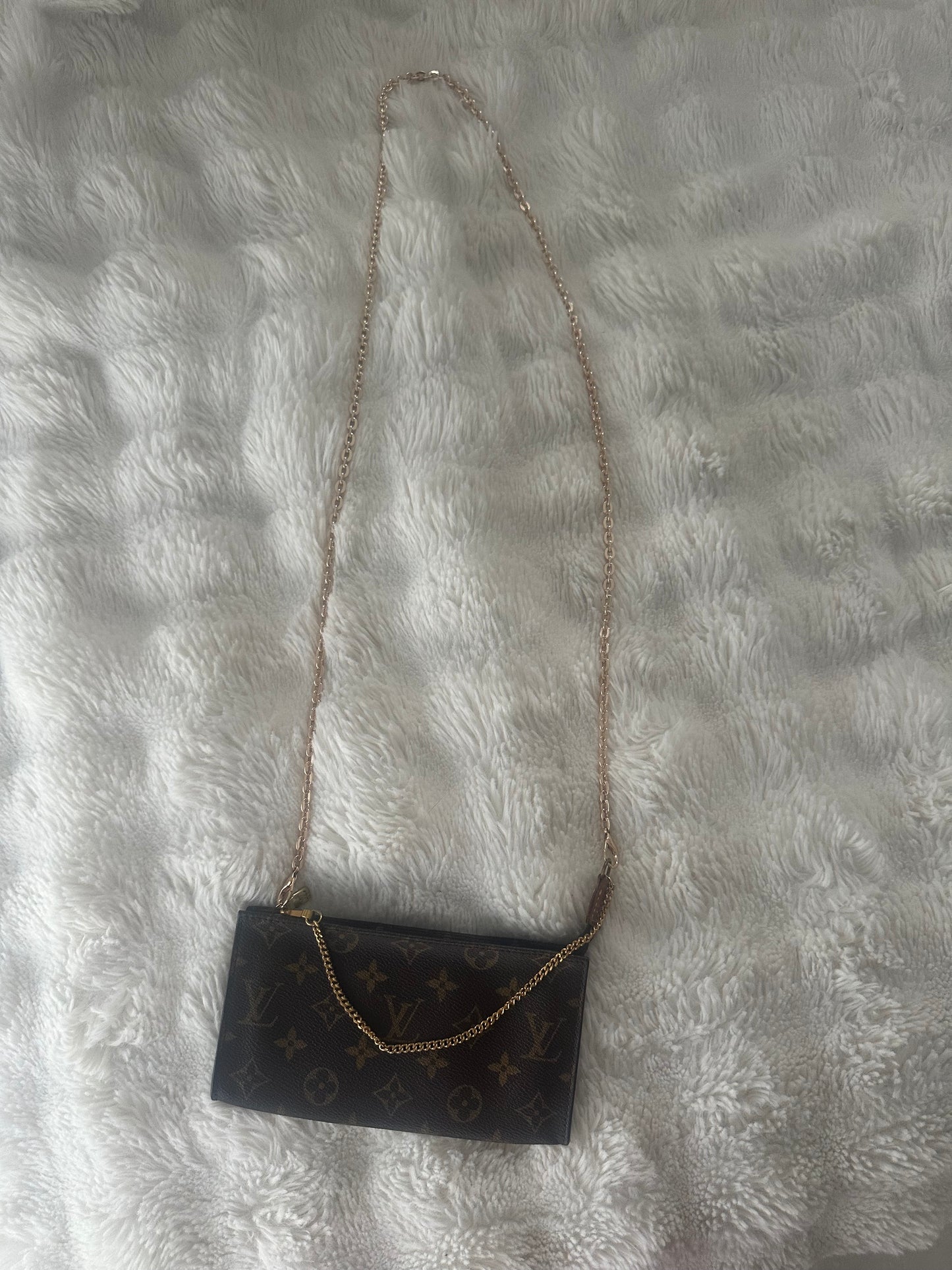 Louis Vuitton crossbody pochette Bag.
