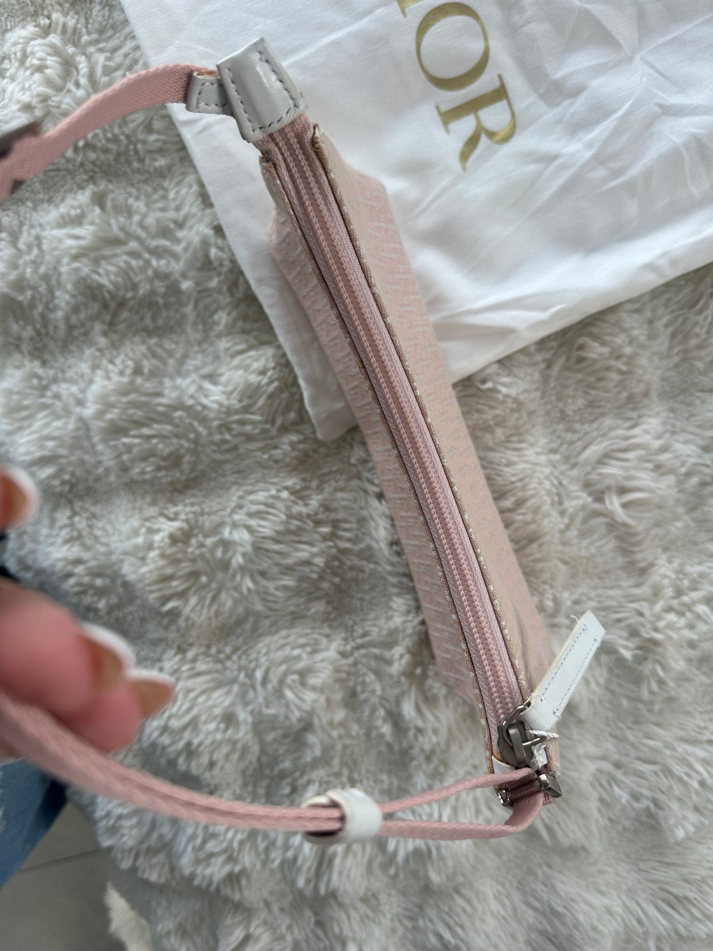 Dior Trotter Baby Pink Canvas bag