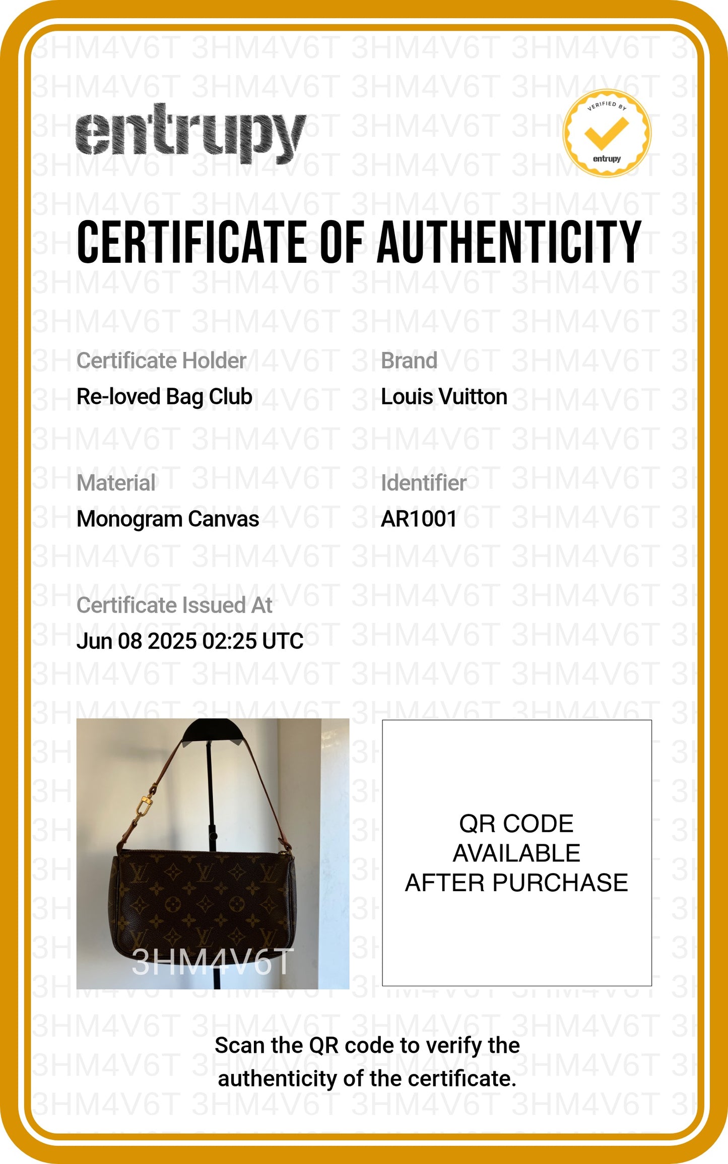 Louis Vuitton Pochette Accessory