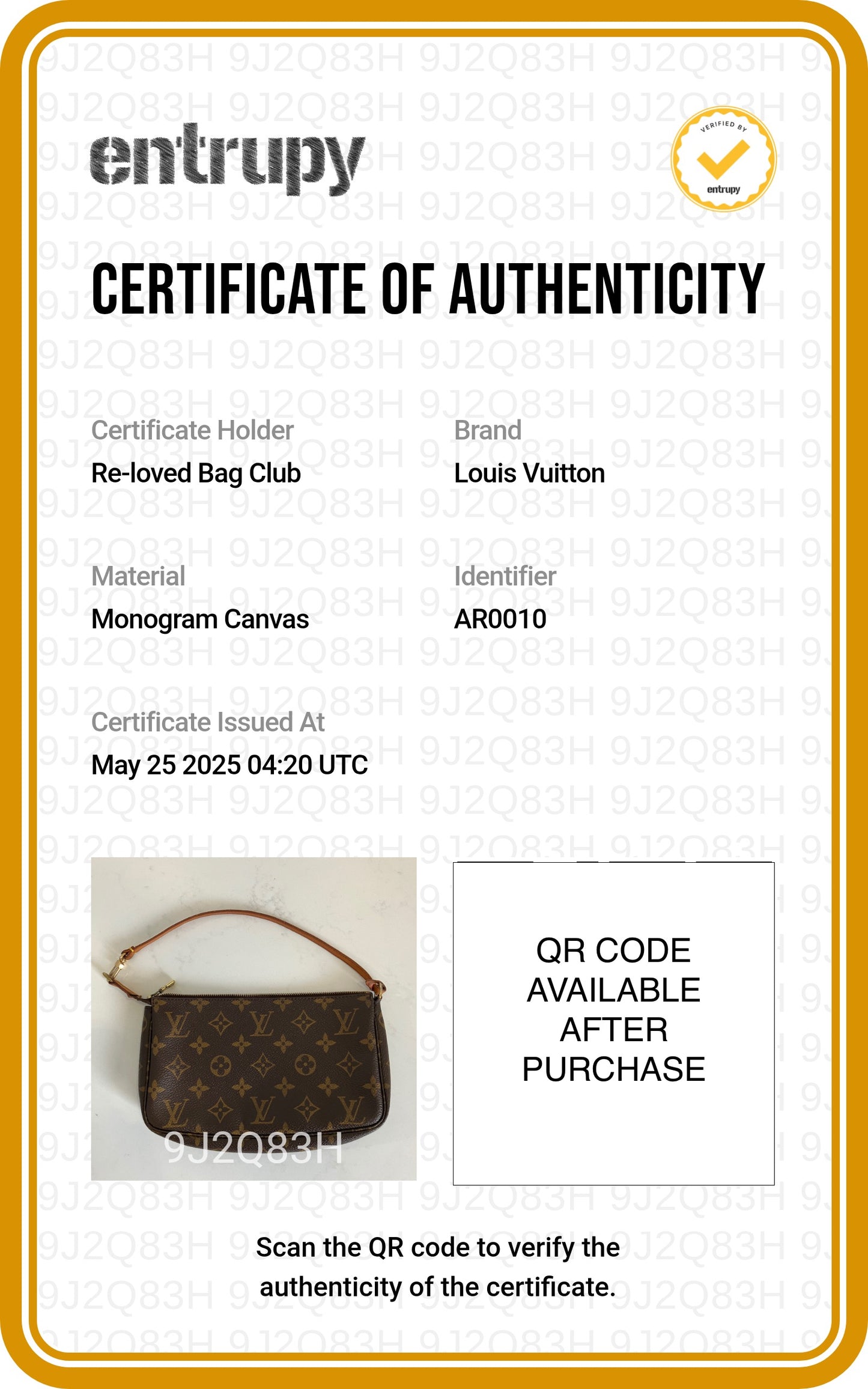 Louis Vuitton Pochette Accessories